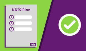 Ensuring Sustainable Disability Support: A Critical Analysis of the NDIS Review