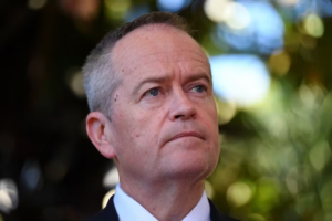 Exclusive: Shorten revives the Coalition’s failed NDIS reforms